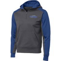Colorblock 1/4-Zip Hooded Sweatshirt